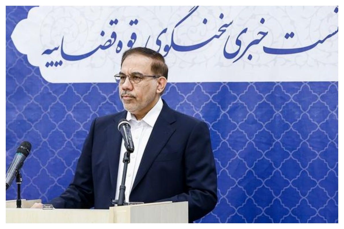 تأکید مجدد سخنگوی قوه قضاییه بر لزوم اصلاح قانون تسهیل صدور مجوز وکالت