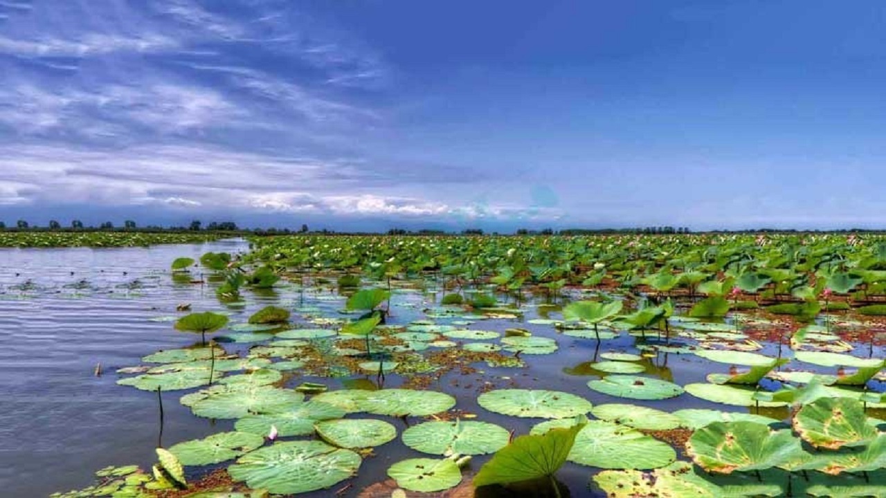 صدور سند مالکیت برای بیش از ۸۰۰ هزار هکتار از تالاب‌های اصلی کشور